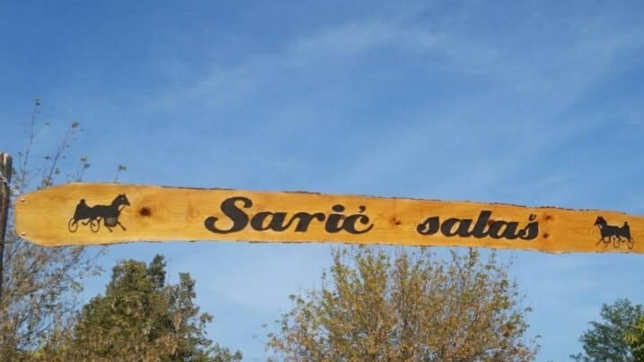Terapijsko Jahanje Saric Salas