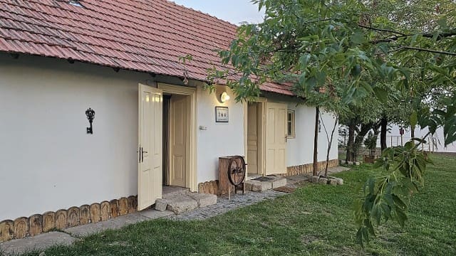 Terapijsko Jahanje